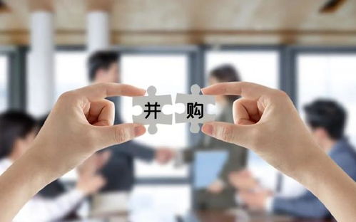 中誠咨詢IPO過會 募資總額砍掉1.3億，董事長夫人控股達86.98%