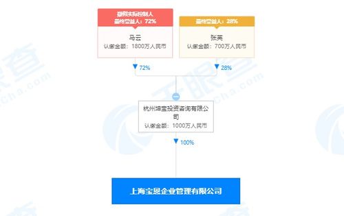 馬云旗下公司全資收購(gòu)寶恩企業(yè)管理咨詢，深化商業(yè)版圖布局